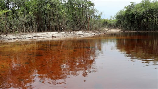 River in world's largest rainforest on road to incredible recovery despite unprecedented threat: 'Anything is possible'