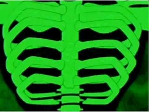 Ben 10 alien force: diamondhead transformation