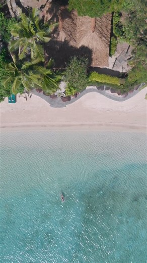 Morning swim at Turtle Island 💙. Steps from the South Pacific Ocean, our 14 villas are carefully positioned along our main beach to allow easy access to the blue lagoon. Discover more about our villas at www.turtlefiji.com/villas/ #turtlefiji #privateisland #fiji | Turtle Island Fiji