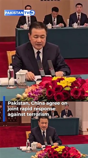 Pakistan to establish special protection unit for Chinese nationals: Interior Minister