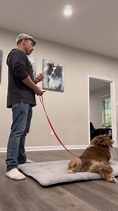 43 reactions | So much focus on the hyper-intellectual and...