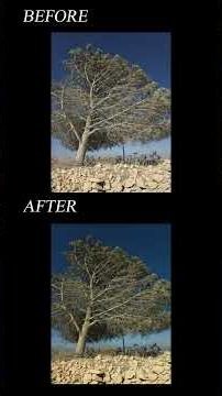 This Photo Editing Tool is Dangerously Good #photography #shorts