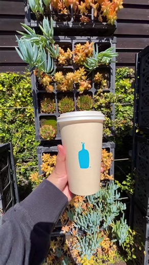 📍Blue Bottle (Newport) ☕️: iced nola with oatmilk, a new orleans style coffee that’s cold brewed with roasted chicory-soo smooth and on the more bitter side. but quality is 🤌🏻. not like a typical iced coffee 9/10 🏠: cafe itself is small and there is nowhere to sit other than outdoor seating. there is a place next door that offers study space but you have to pay per hour. parking is also street parking that you have to pay for. would not recommend studying here, it’s more of a pick up to go p