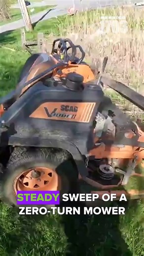 The Science of Restoration: Masters Transforming the Forgotten