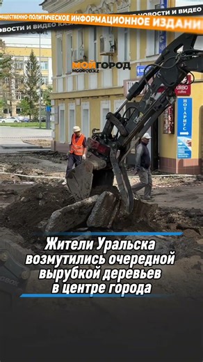 Жители Уральска возмутились очередной вырубкой деревьев в центре города