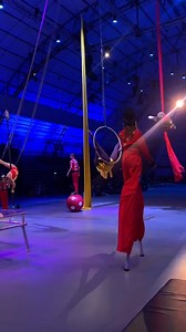 2.5K views · 19 reactions | Have you experienced the magic of The Circus Arts Conservatory ? ✨ Bringing performing arts to life in Sarasota, they’re preserving the circus legacy and inspiring the next generation.  Don’t miss out! Grab your tickets for an upcoming show and be part of the excitement! ➡️ circusarts.org #SupportThe941 IG : @circusartssrq | Visit Sarasota County | Facebook