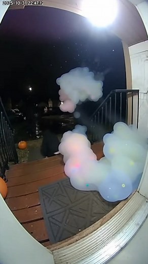 Hand Off Other People's Packages 🔄📦 😄😅 #ringdoorbell #porchpiratecaught #vip #funny #caughtoncamera #funny #funnyvideo #usa #ringdoorbell #caughtoncamera #viral #pranking #funnyfails #funny #crazy 😅😅😅😅 | Funny AI