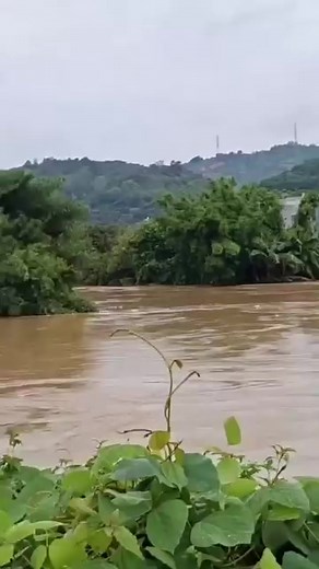 Subash Ejam Subba on Reels