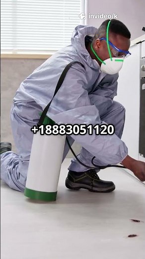 Emergency Pest Control Guide | Call +18883051120 for Immediate Exterminator Help