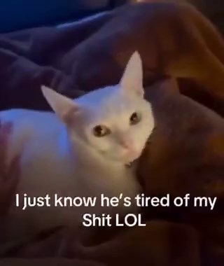 eternal classic (@eternalclassic_) on X