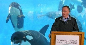 Sea World CEO is stepping down