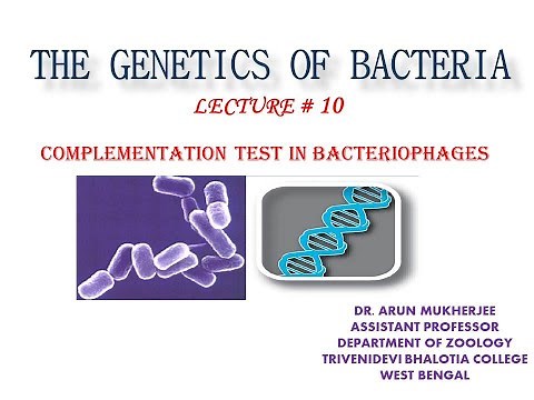 Complementation Test