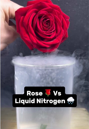 Liquid Nitrogen Experiment: Science Behind the Chill