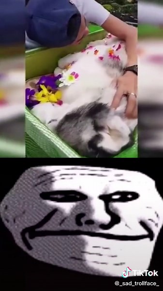 #_sad_trollface_ #fy #viral #dog #fyp #😥