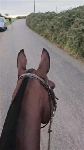 Confronting Harassment in Hunting: A Disturbing Encounter