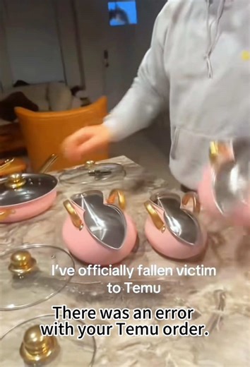 Temu Order Error: A Hilarious Shopping Fail