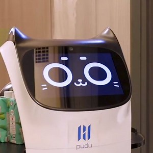 Introducing BellaBot, a robot cat with personality, that waits on tables🤖🐱🍔 | In The Know Innovation