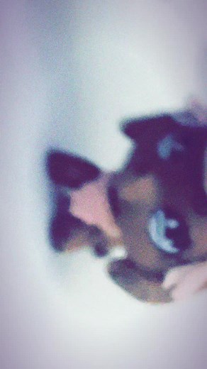 LPS CHUNKKKKK (@mrsunpopular)’s videos with original sound - arizonatears