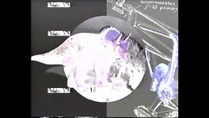 Bill Nye The Science Guy 2 Full Episodes Bones & Muscles / Respiration VHS