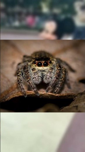 Mickey Mouse in SCARY Accident! 😱 | #short #youtubeshort #fyp