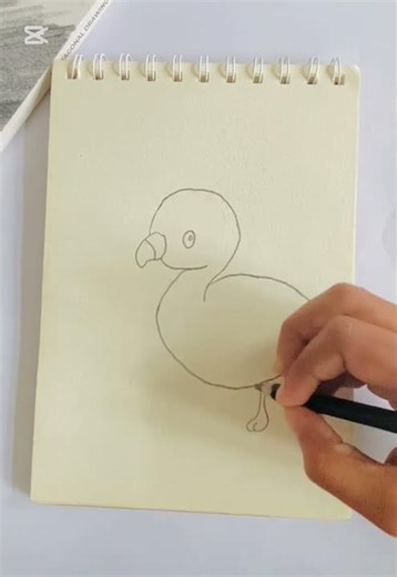 How to draw a Flamingo / easy drawing # drawing