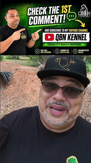 What’s Actually Feeding Your Dog’s Yeast Infection👈‼️ #qbnkennel #dogcare #americanbully