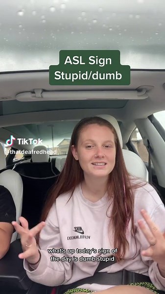 Stupid #signlanguage #asl