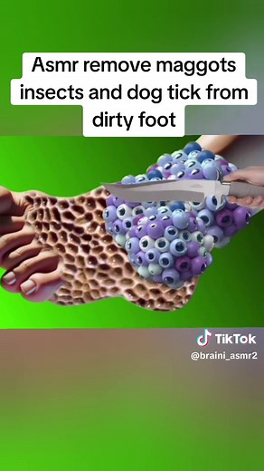 Braini ASMR on TikTok