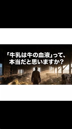 牛乳って、牛の血液なの？ そして、牛乳から薬まで作れるの？ 答えは、どちらも少し意外です。 まず、牛乳そのものが血液というわけではありません。 牛が食べた飼料から得た栄養を血液が乳房まで運び、 乳腺細胞がその材料を使って、 ・乳タンパク ・乳脂肪 ・乳糖 ・ミネラル ・水分 などを組み合わせて牛乳を作っています。 つまり、 牛乳は血液ではない。 でも、血液が運んだ材料から作られている。 というのが正確なイメージです🐄🥛 しかも牛乳は、ただの飲み物でもありません。 ラクトフェリン。 ホエイタンパク。 乳由来ペプチド。 牛乳や初乳に含まれるさまざまな成分は、今も栄養・健康・医療周辺の研究対象になっています。 さらに、動物の「乳を作る仕組み」を利用して、医薬品に使う特定のタンパク質を生産する研究や実用例まであります。 ただし、ここはとても大事です。 牛乳を飲めば病気が治る、という話ではありません。 研究されていることと、普通に牛乳を飲むことで医薬品のような効果が得られることは別の話です。 そして牛乳の可能性は、医療だけでもありません。 牛乳由来のカゼインを使った素材や、ホエイなどの副産物