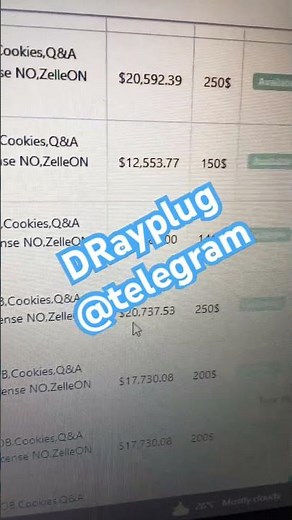 2025 Bank logs + walkthrough for cashing out bank drop