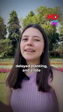 Delhi’s Tulips Wilt Early As Heat Cuts Festival Short| Mo of Everything