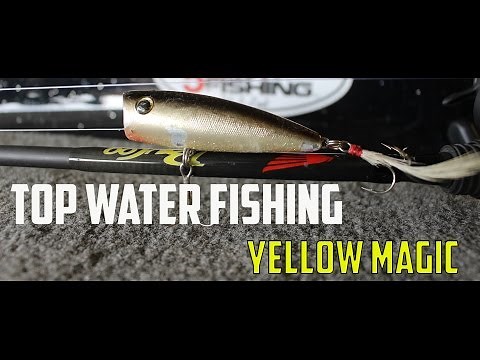 Bass Fishing Top Water Action With A Yellow Magic