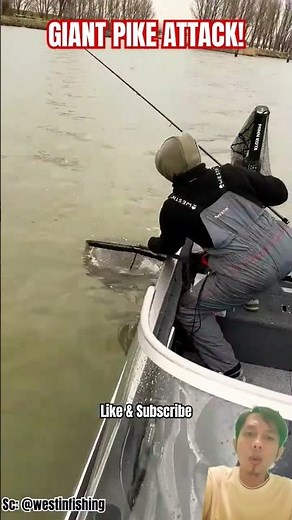 Monster Pike Caught! Epic River Fishing Battle!