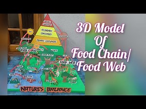 How to make 3D Model of Food Chain/Food Web Model for school Exhibition/Nature's Balance 3D Model