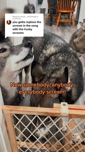 Replying to @cloud._.winchester better?? 😂