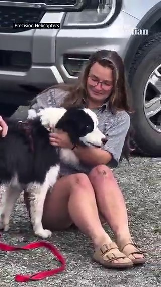 good news 🐶