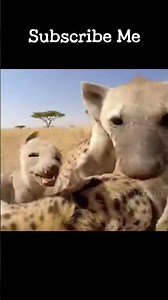 Skunk Farts and Runs in Safari2 — What Comes Out?#animals #funny #viral #wildlife #shorts