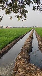 62K views · 714 reactions | فررررررررصه ممتازه للاستسمار العقاري...