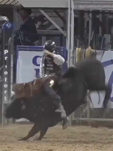 Wacey Schalla delivers an 87-point ride on Sankey Pro Rodeo & Phenom Genetics' Hells Bells! 🐂 #WeArePRORODEO