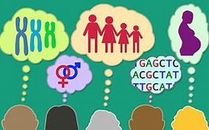 【英属哥伦比亚大学】实用遗传学（useful genetics)第一部分-英文字幕