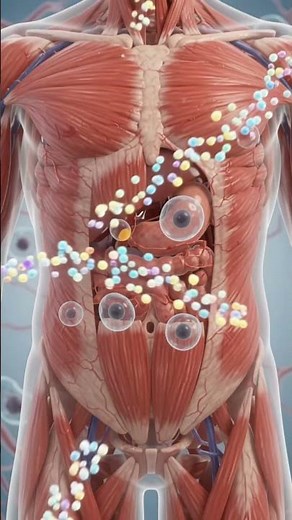 Fish Health Benefits 🐟 What Happens When You Eat Fish Omega 3, Fish Oil & Nutrition Facts