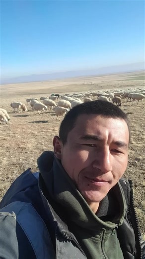 Koyunların Patronu: Eğlenceli Video İçerikleri