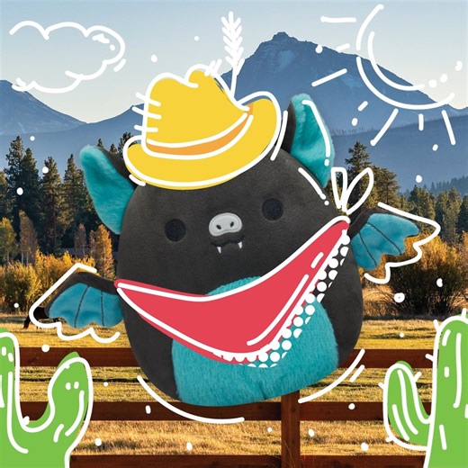 Howdy, Aldous! 🌵☀️ This ‘Mallow dreams of owning his own ranch one day. Drop a 🤠 in the comments if you need this cowboy in your Squad! #Squishmallows #SquishmallowsSquad | Squishmallows