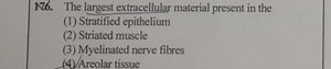 The largest extracellular material is present in which of the f... | Filo