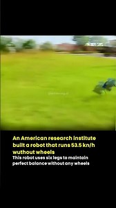This 6-Legged Robot Sprints Faster Than You Can Run