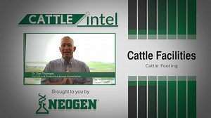 In this Cattle Intel, Dr. Dan breaks down the importance of cattle...