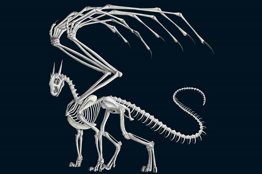 The Anatomy of a Dragon: What Every Fantasy Artist Needs to Know - Improve Drawing