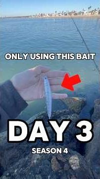 Day 3 of only using jerkbait