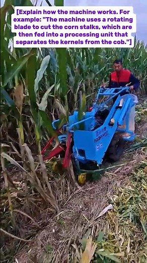 Corn Harvesting Made Easy: A Look at Modern Farming Technology