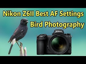 Nikon Z6II Bird Photography Best AF Settings